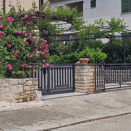 Studio Apartments Igor Vrsar Εξωτερικό φωτογραφία