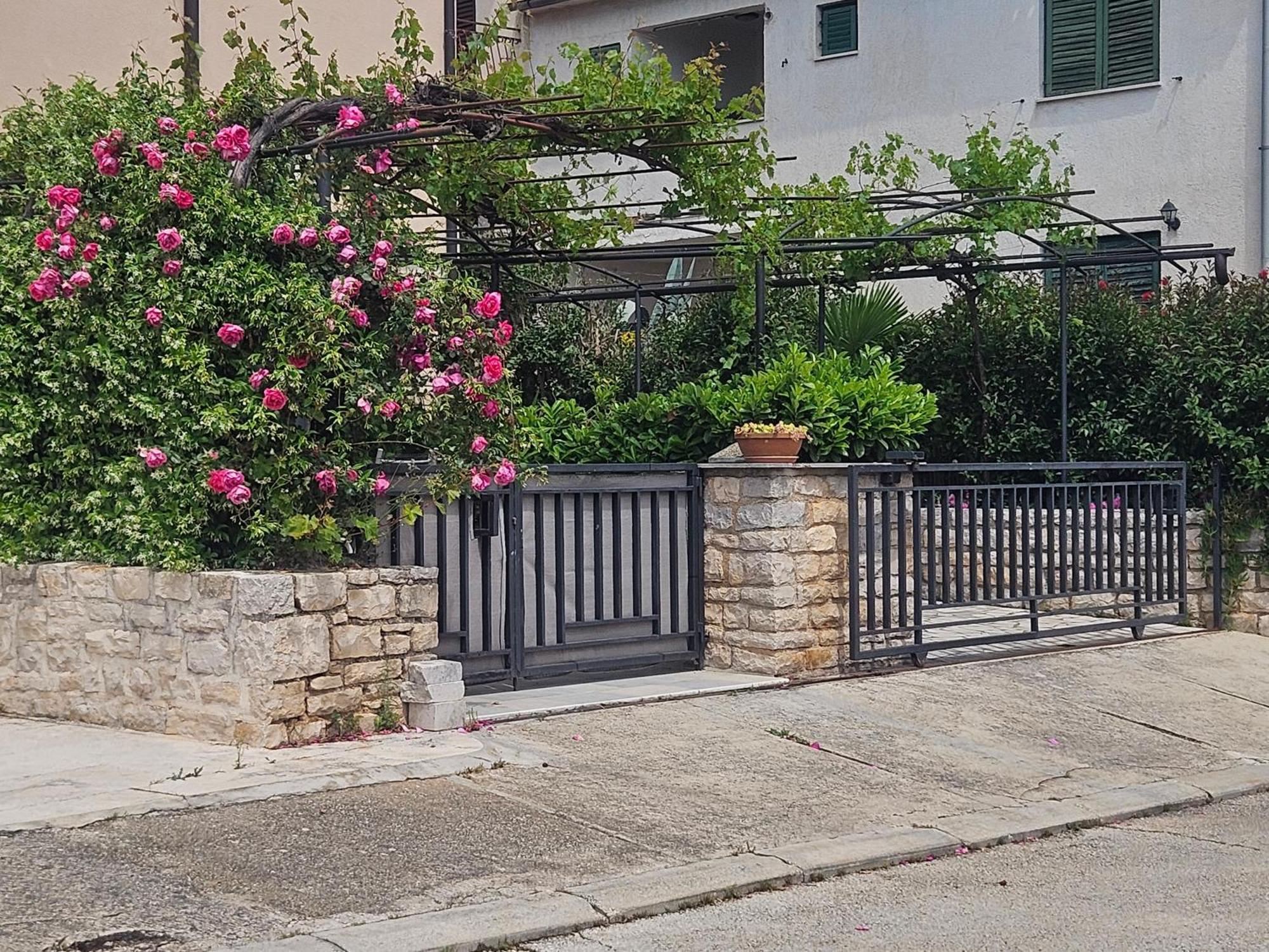 Studio Apartments Igor Vrsar Εξωτερικό φωτογραφία